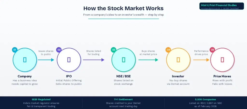 How the stock market works in India — infographic showing company IPO to shares listed on NSE BSE to investor buying shares and price movement | Mint & Print